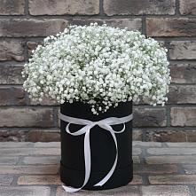 Цветочная композиция из Гипсофила в шляпной коробке #REPLACE_PRED# Камышах
