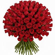 Букет Красные розы Чери Лав в Камышах